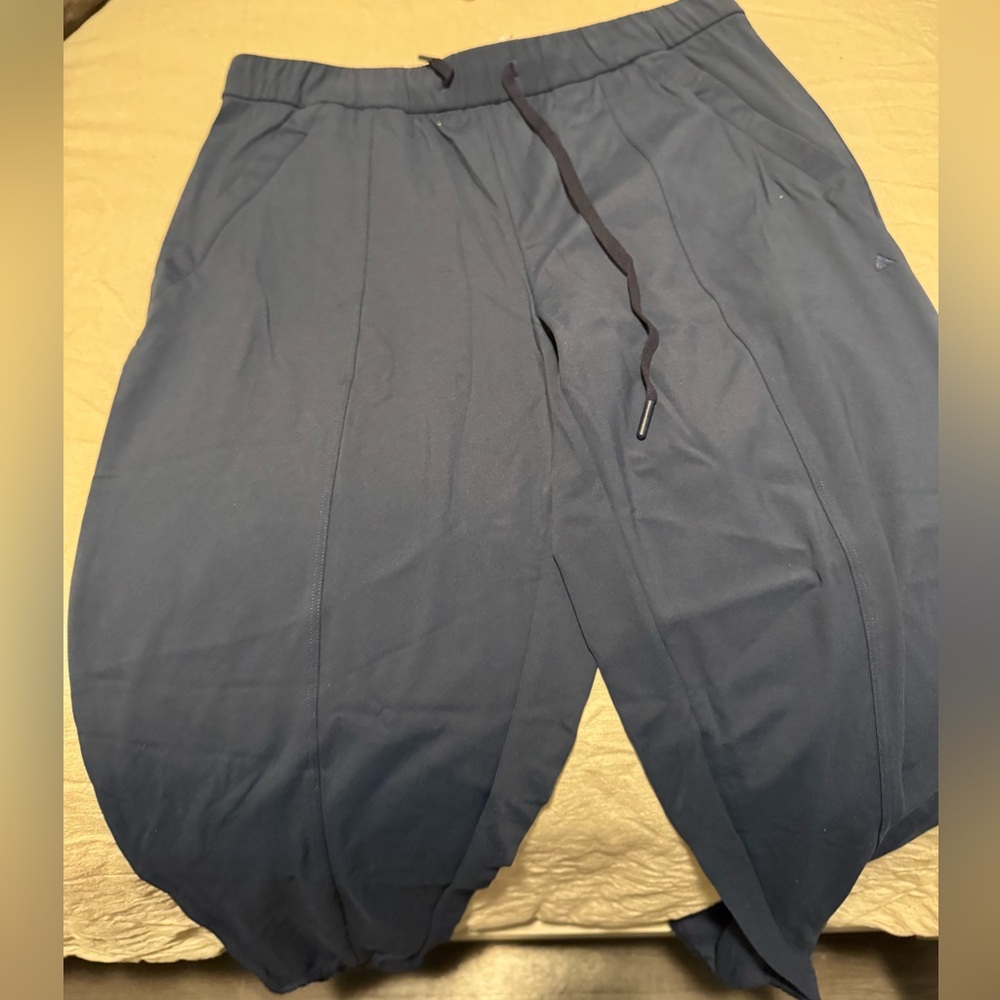 Vitality Nomad Joggers *NEVER WORN*